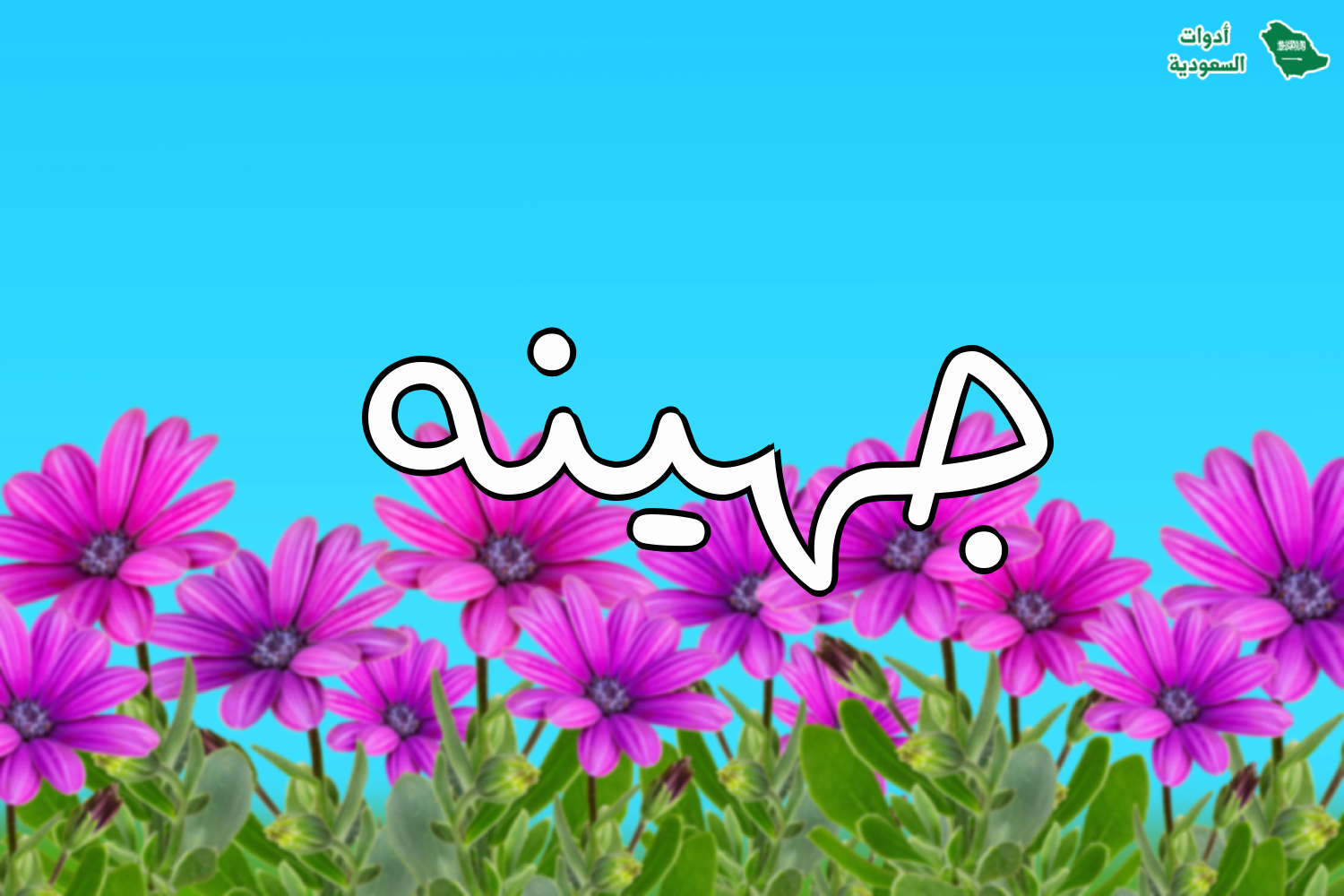اسم جهينه على خلفية تحتوي ورود وزهور مميزة